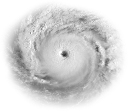 Disaster Response